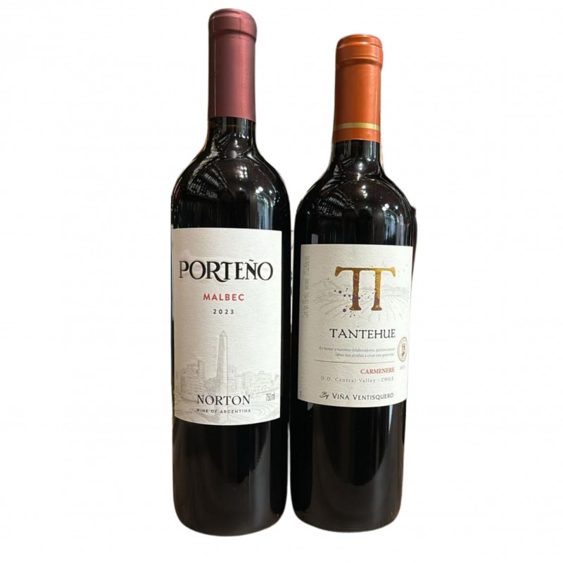 Kit dois vinhos